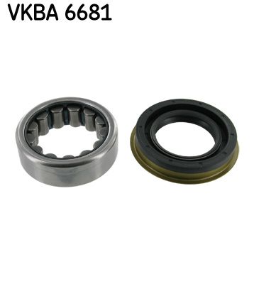 SKFVKBA 6681